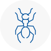 Ant Removals In Wycombe