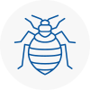 Bed Bug Extermination In Wycombe