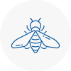 Bee Nest Removal Wycombe