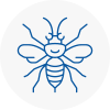 Wycombe Hornet Nest Removals