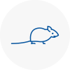 Mice Exterminators In Wycombe