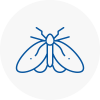 Moth Control Specialists In Wycombe