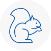 Wycombe Rodent Removals